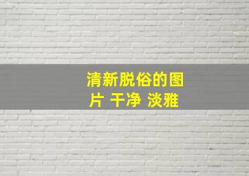 清新脱俗的图片 干净 淡雅